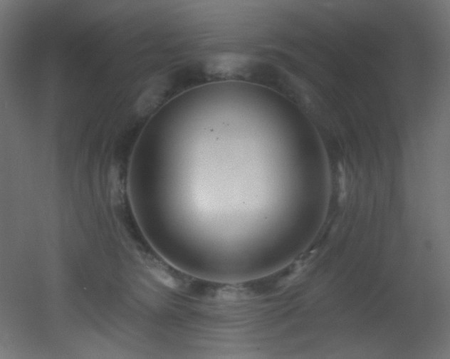 X0000053160420200507111512