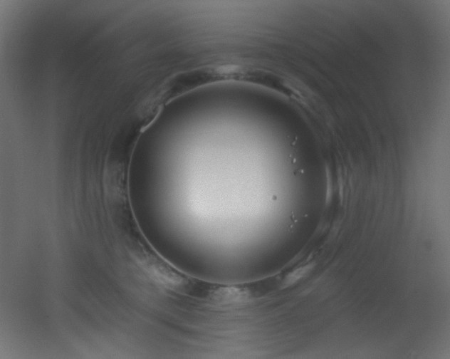 X0000053160421200507111512