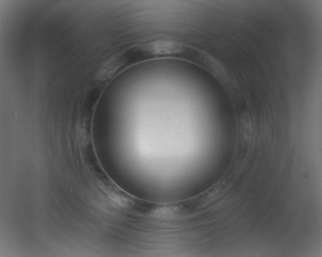 X0000053160422200507111512