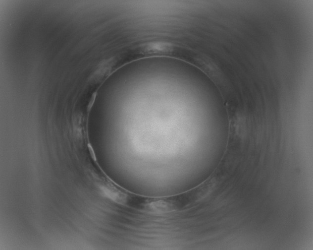X0000053160423200507111512