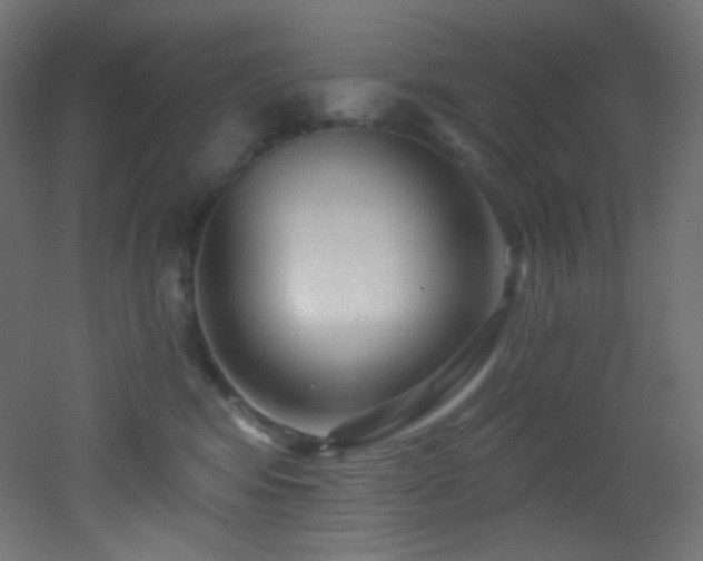 X0000053160424200507111512
