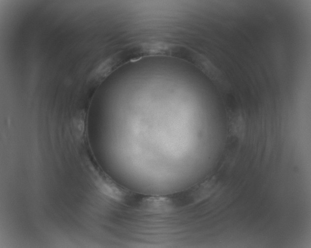 X0000053160427200507111512