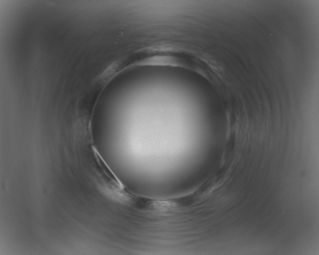 X0000053160429200507111512