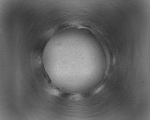 X0000053160431200507111512