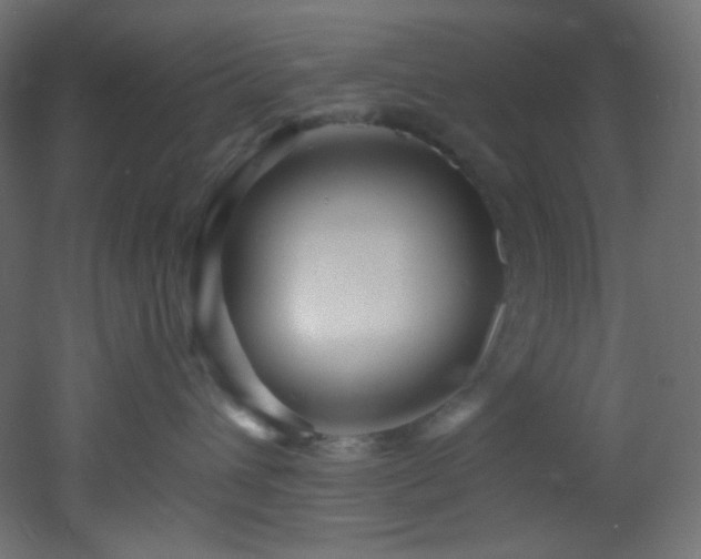 X0000053160432200507111512