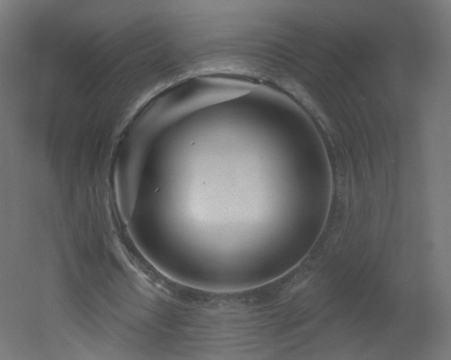 X0000053160434200507111511