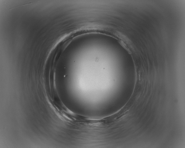 X0000053160436200507111511