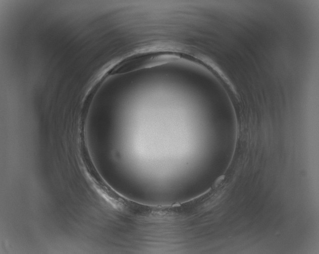 X0000053160437200507111511