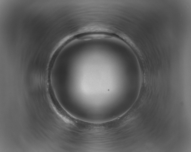 X0000053160438200507111511