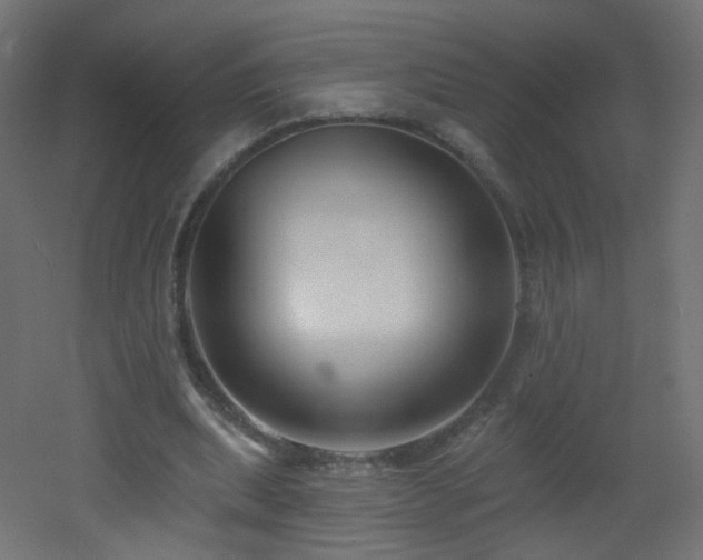 X0000053160439200507111511