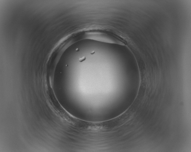 X0000053160440200507111511