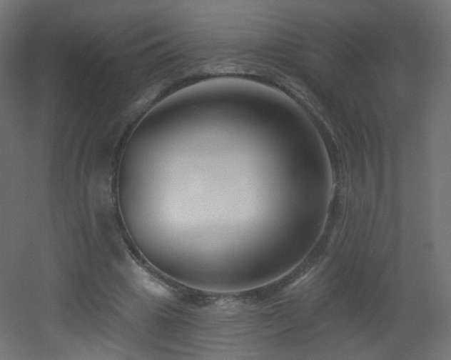 X0000053160441200507111511