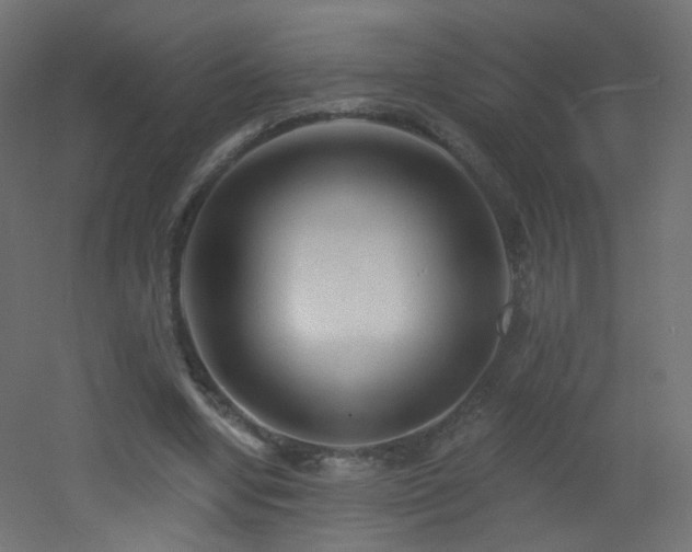 X0000053160442200507111511