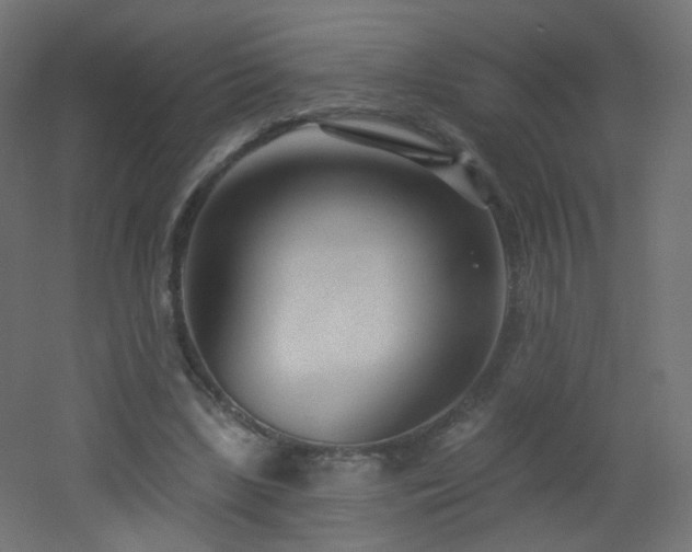 X0000053160443200507111511