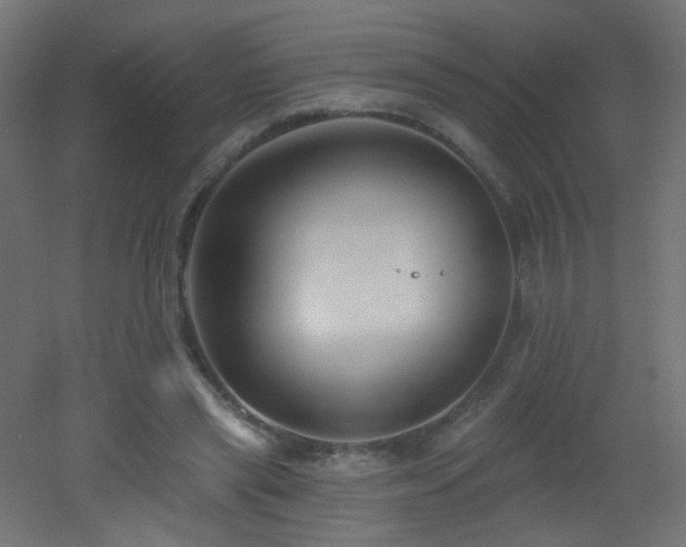 X0000053160445200507111511