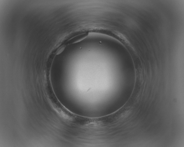 X0000053160447200507111511