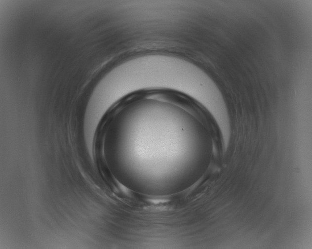 X0000053160448200507111511