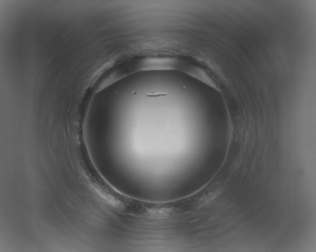 X0000053160450200507111512