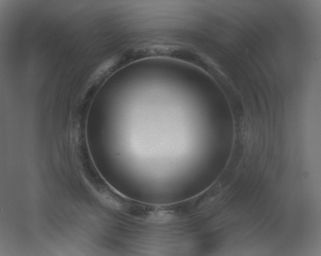 X0000053160451200507111512
