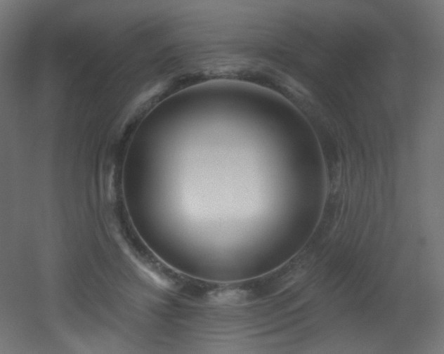 X0000053160452200507111512