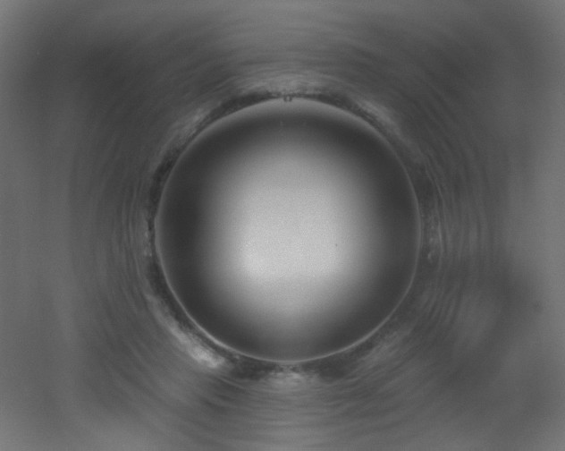 X0000053160453200507111512