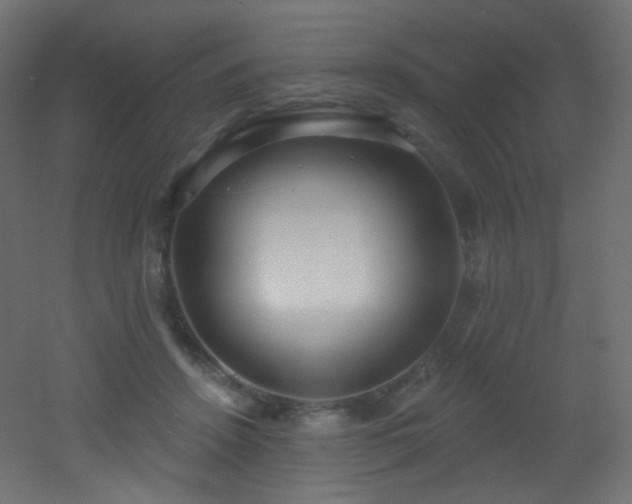 X0000053160456200507111512