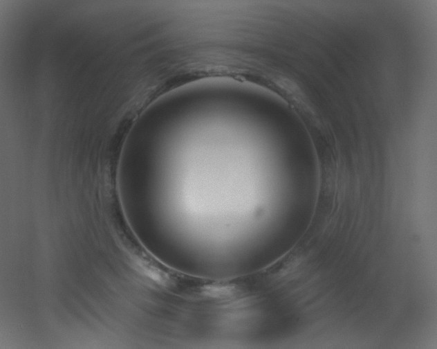 X0000053160457200507111512