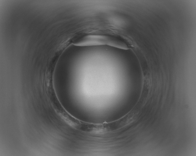 X0000053160458200507111512