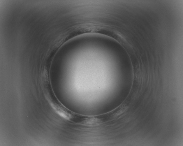 X0000053160459200507111512
