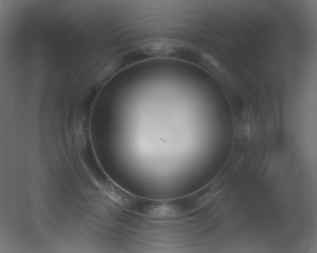 X0000053160460200507111512
