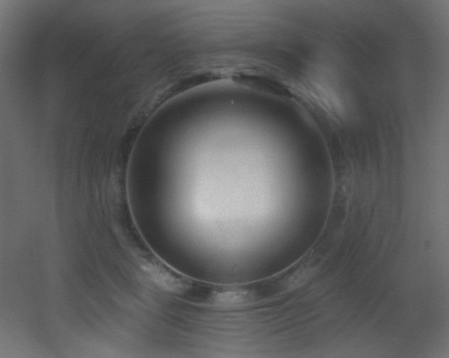X0000053160461200507111512