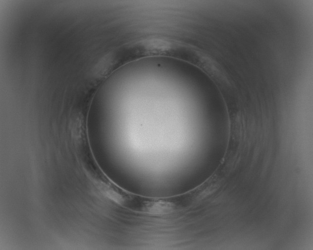 X0000053160463200507111512