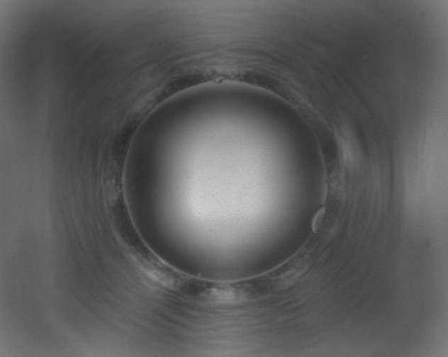 X0000053160464200507111512