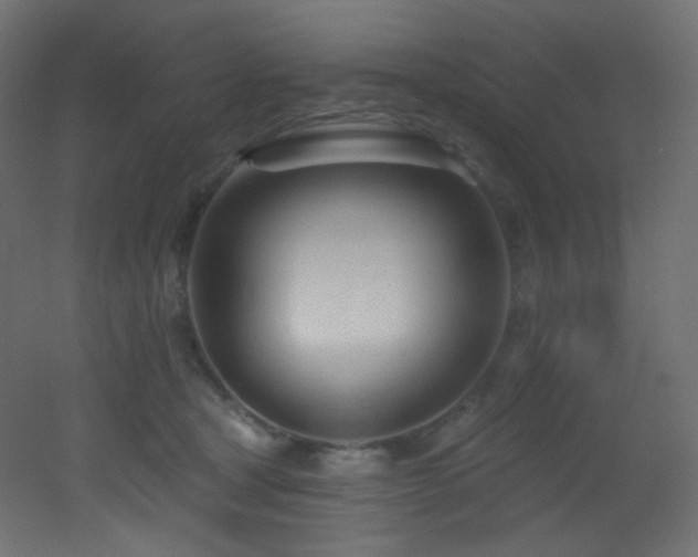 X0000053160465200507111512