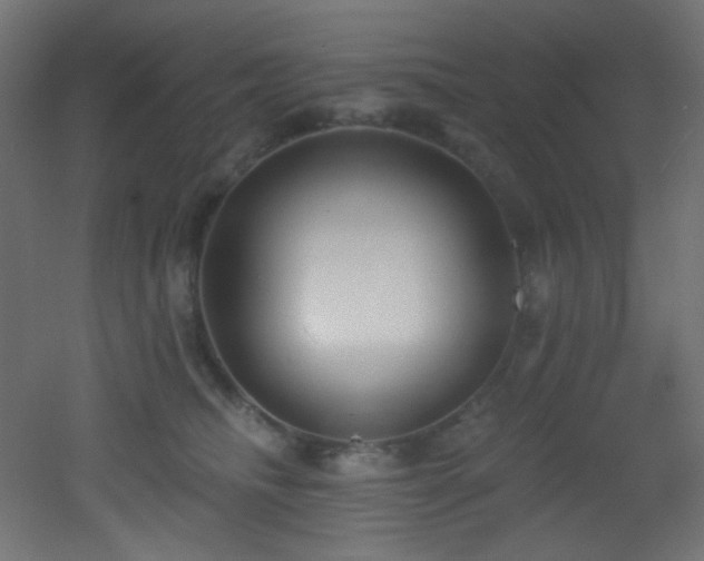 X0000053160468200507111512