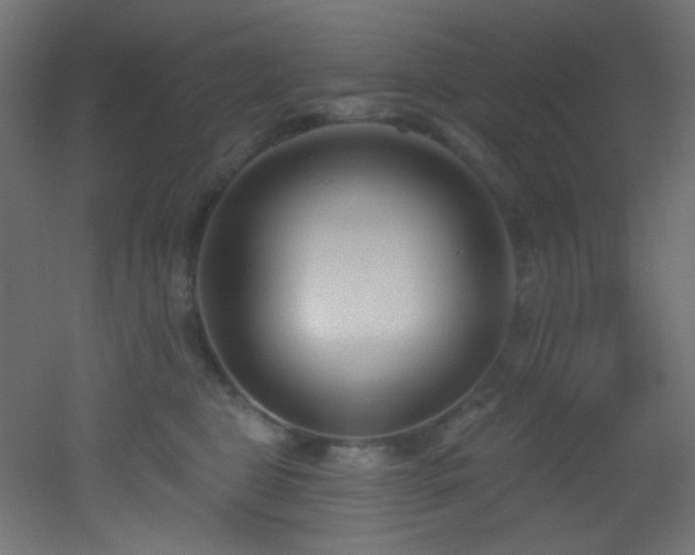 X0000053160469200507111512