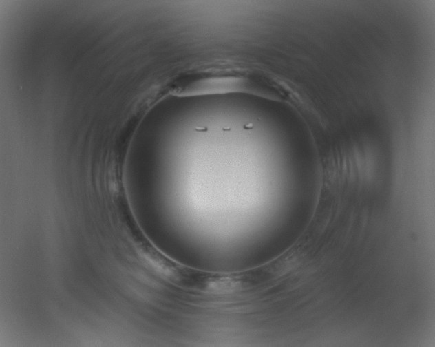 X0000053160470200507111512