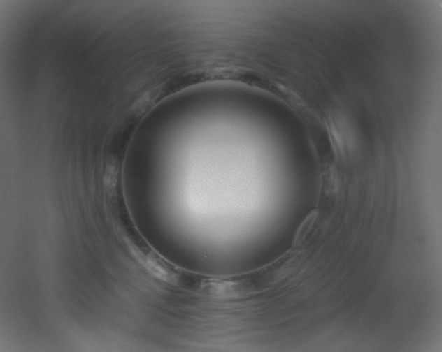 X0000053160472200507111512