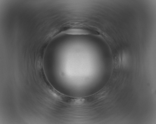 X0000053160474200507111512