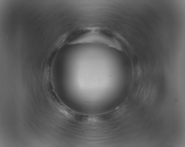 X0000053160475200507111512