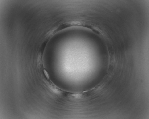 X0000053160478200507111512