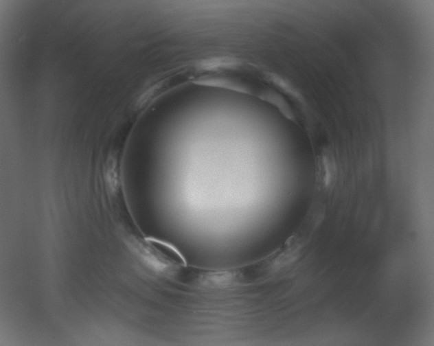X0000053160479200507111512