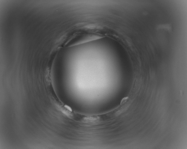 X0000053160480200507111512