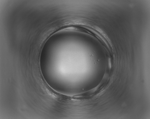 X0000053160481200507111511