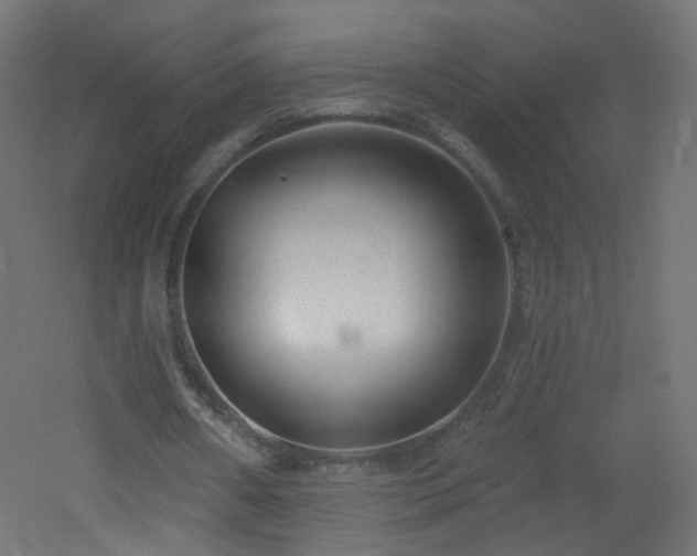 X0000053160482200507111511