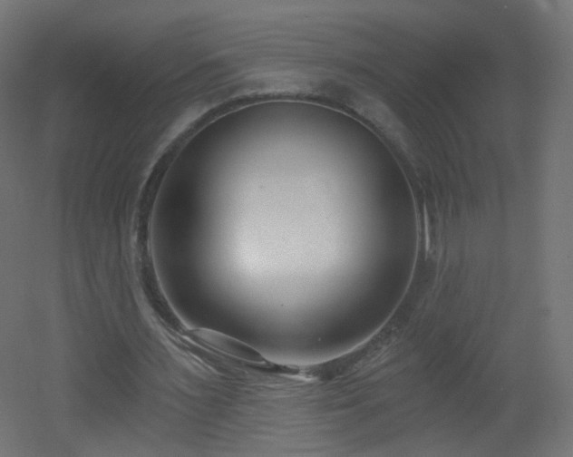 X0000053160483200507111511
