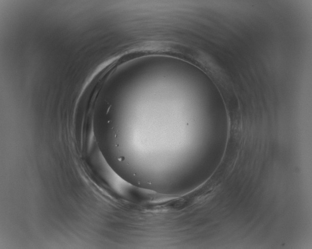 X0000053160484200507111511