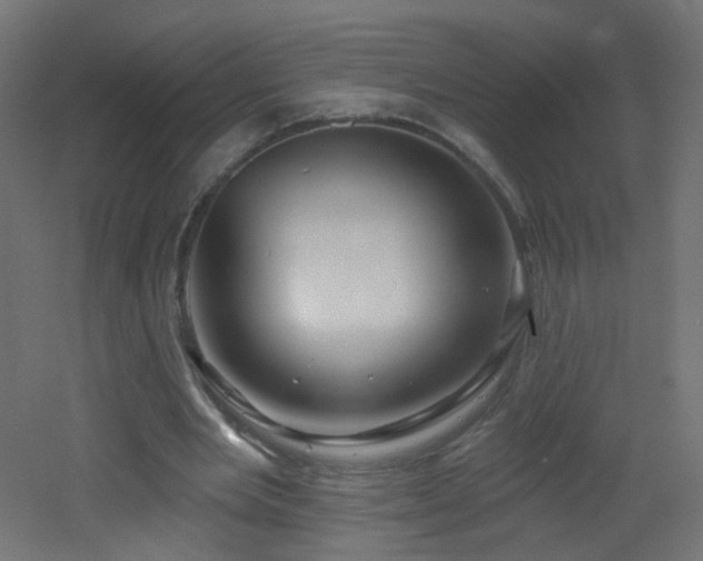 X0000053160485200507111511
