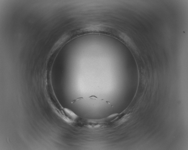X0000053160486200507111511