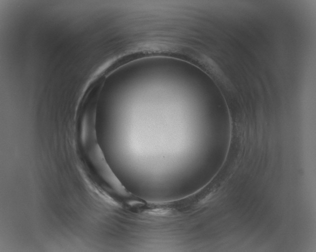 X0000053160488200507111511